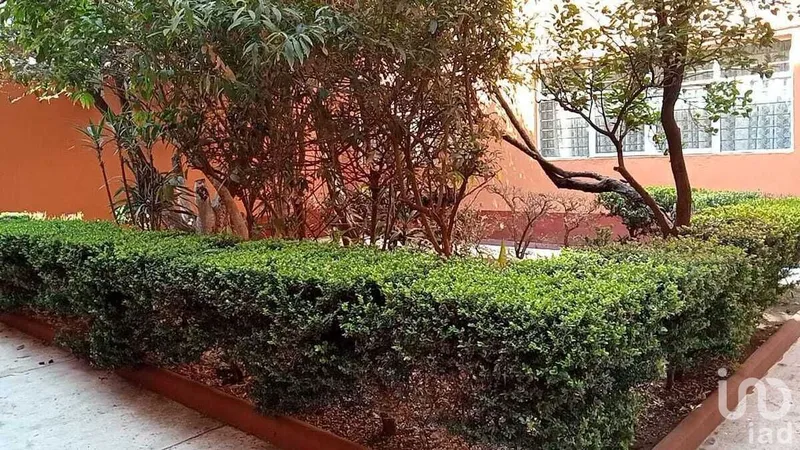 Foto 7