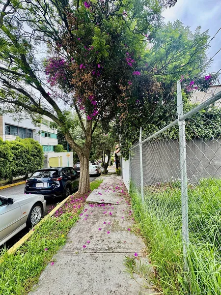Lote en venta · Lomas De Las Águilas, Las Águilas, Álvaro Obregón, Ciudad de México