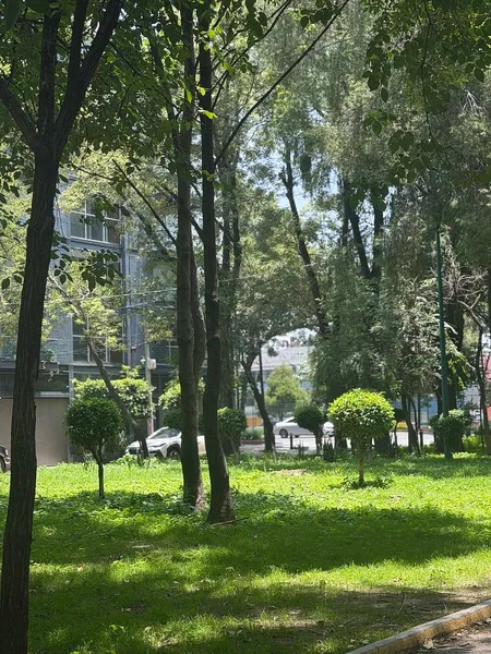 Foto 33
