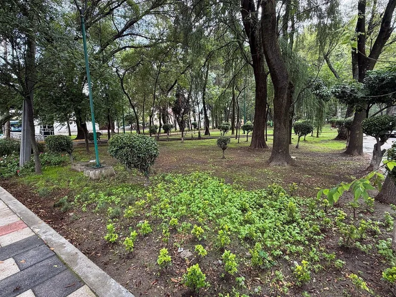 Foto 15