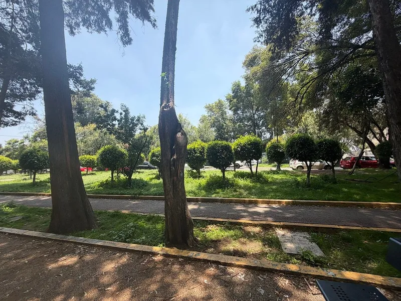 Foto 30