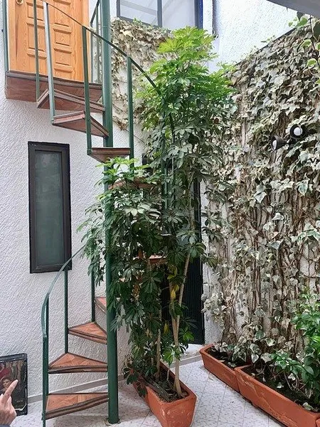 Foto 22