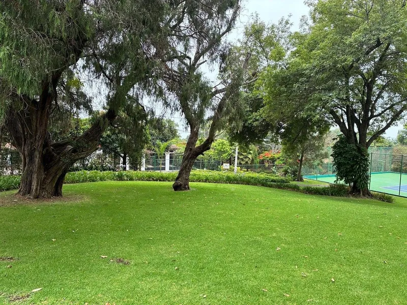 Foto 17