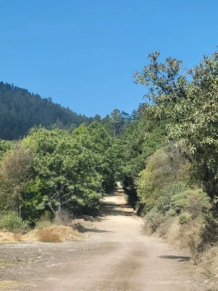 Lote en venta · Salazar, Lerma, Estado de México