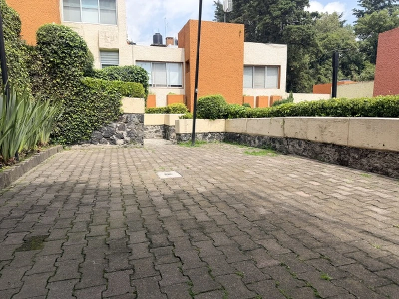 IMG_0544.jpeg