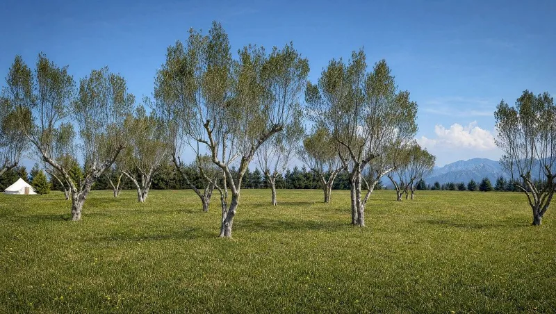 Foto 9