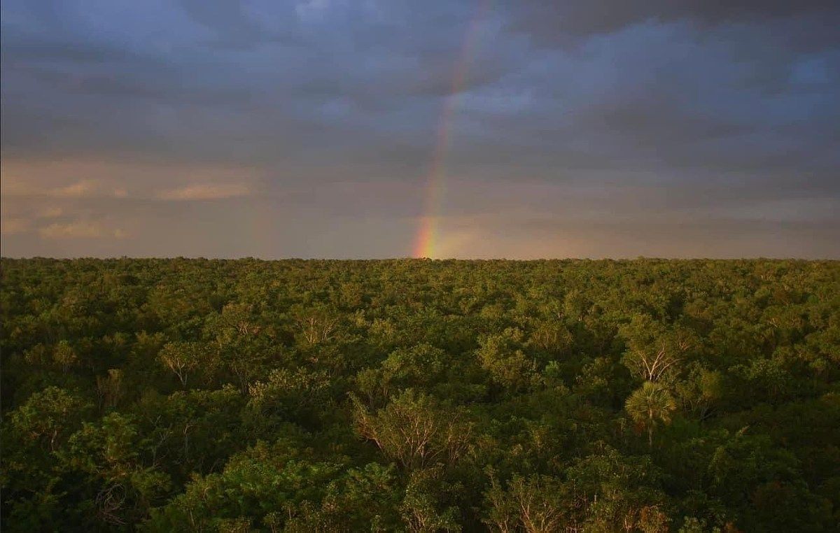 Lote en venta · Tulum, Quintana Roo