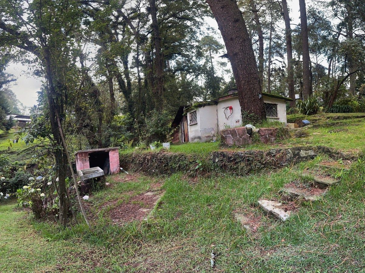Foto 15