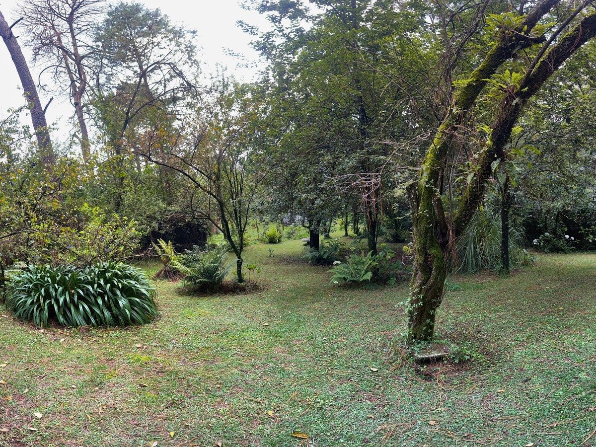 Foto 19