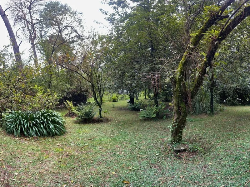 Foto 19