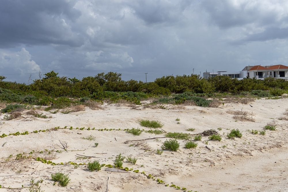 Lote en venta · Sisal, Hunucmá, Yucatán