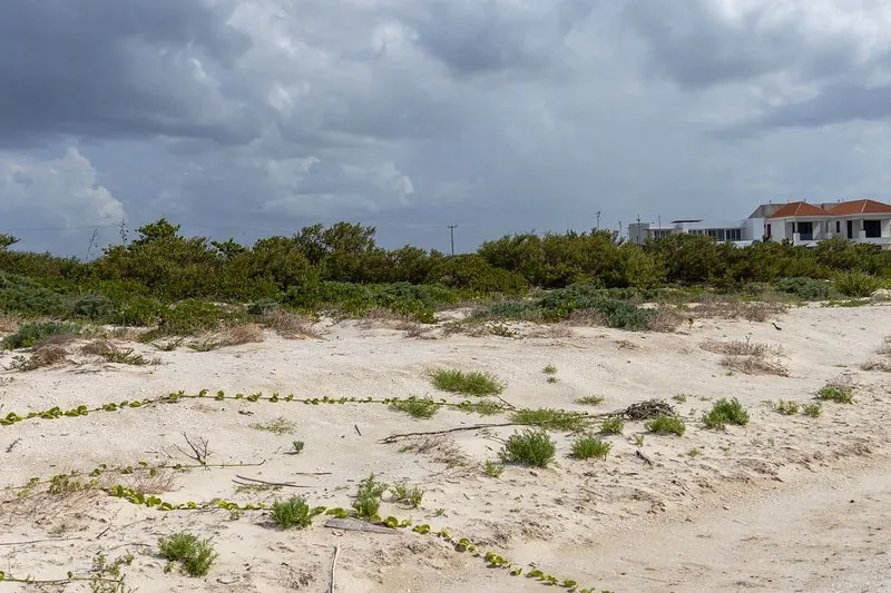 Lote en venta · Sisal, Hunucmá, Yucatán