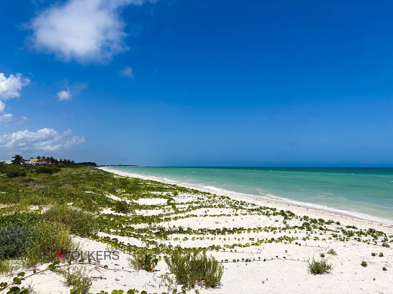 Lote en venta · Sisal, Hunucmá, Yucatán