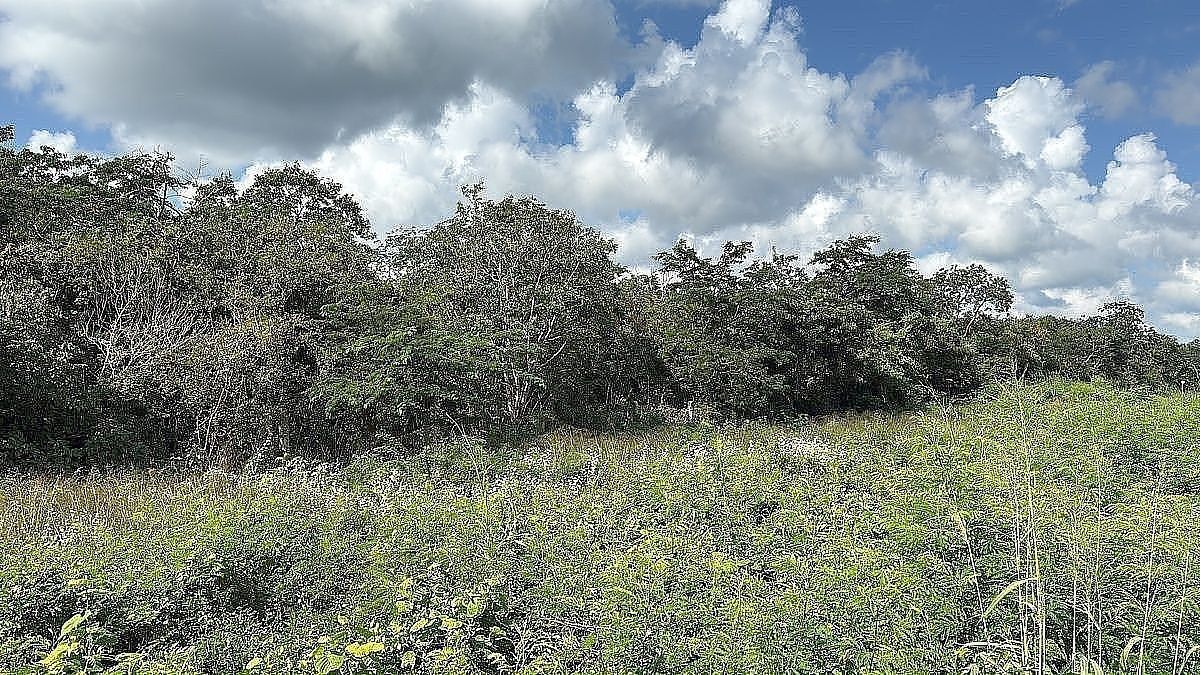 Lote en venta · Ampliación Tixcacal Opichen, Mérida, Yucatán