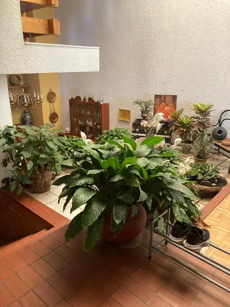 FOTO 4.jpg