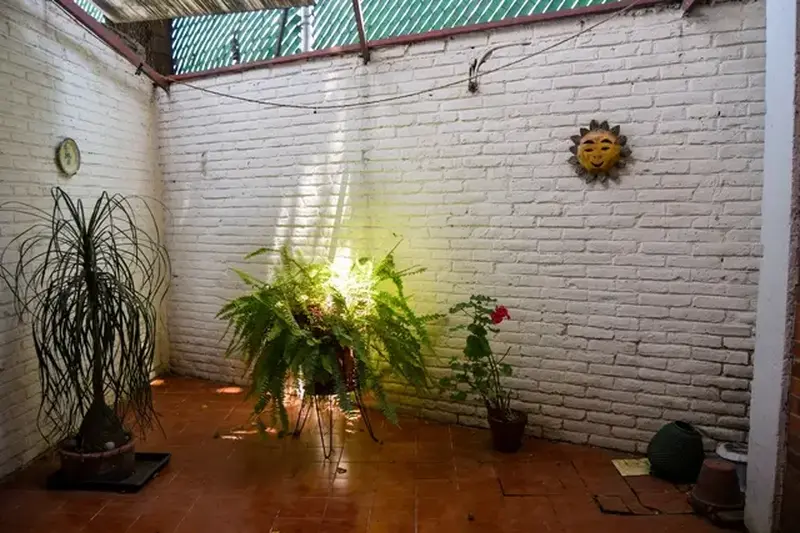 FOTO 10.JPG