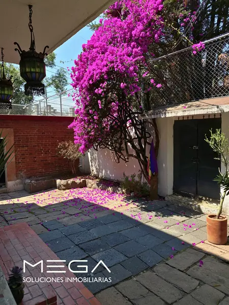Foto 45