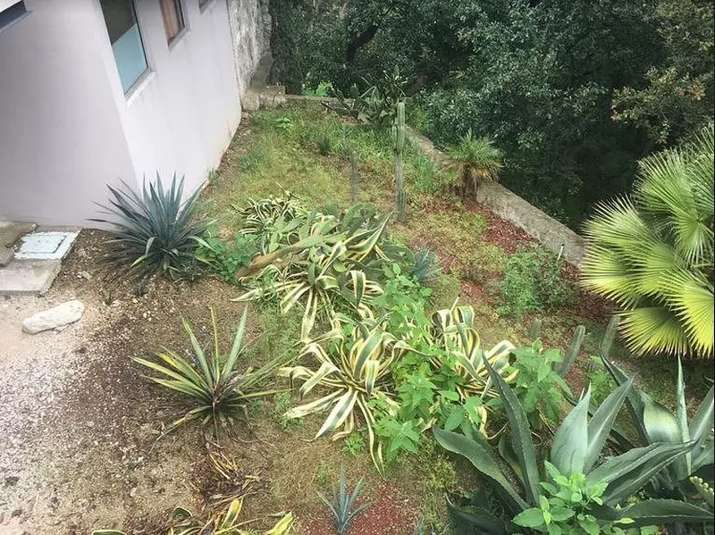Foto 10