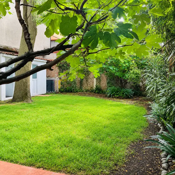 Casa en venta · Parque San Andrés, Coyoacán, Ciudad de México