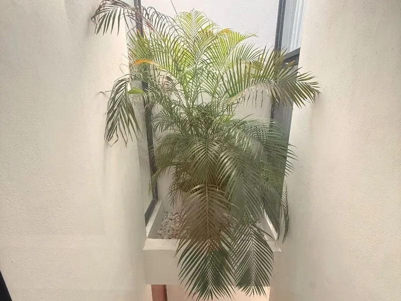 Foto 12