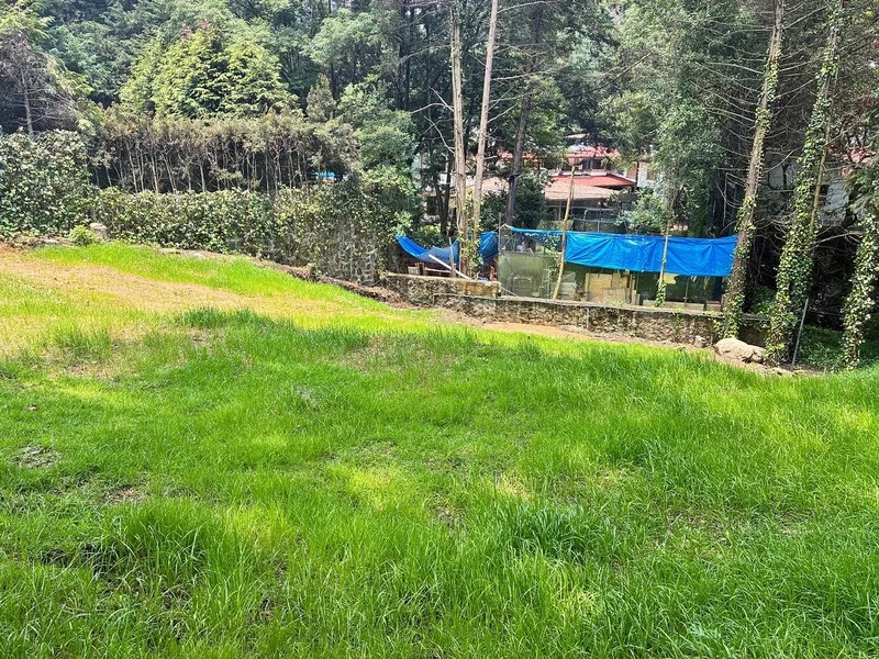 Foto 12
