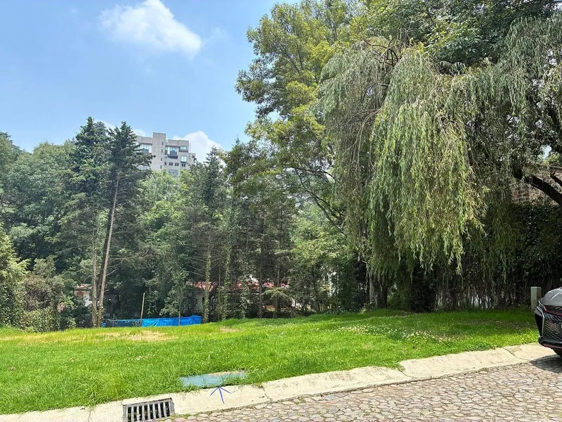 Foto 11