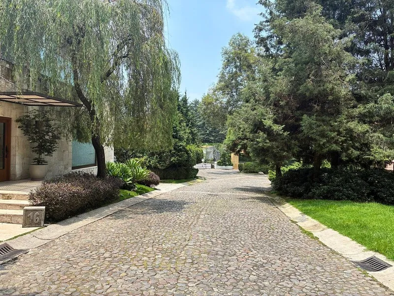 Foto 7