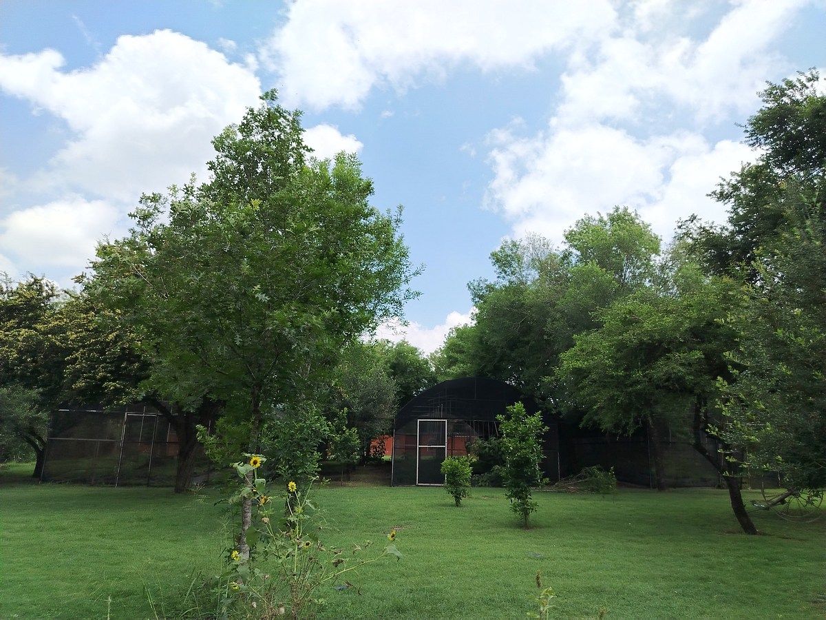Casa en venta · Benito Juárez, Monterrey, Nuevo León