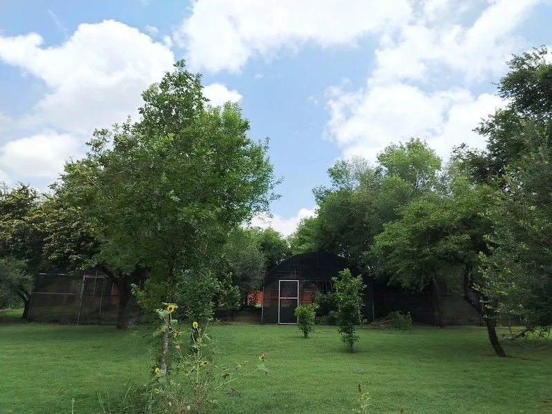 Casa en venta · Benito Juárez, Monterrey, Nuevo León
