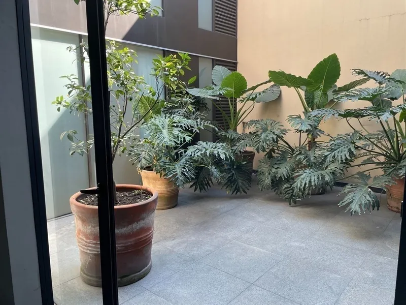 Foto 24
