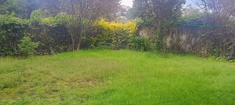 Foto 14
