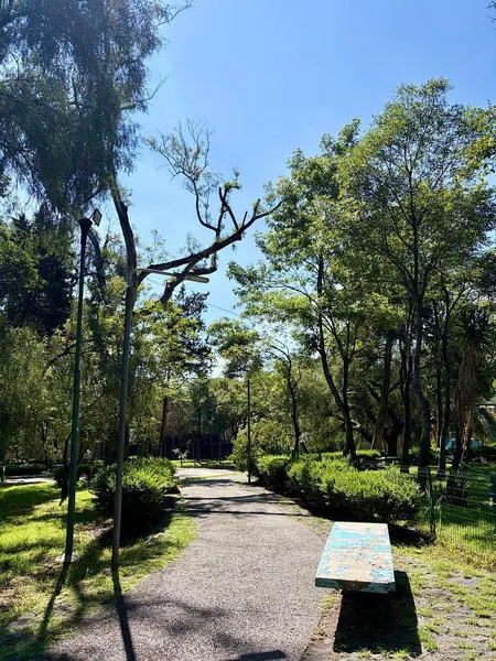 Foto 21