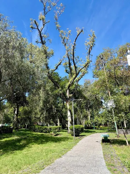 Foto 16