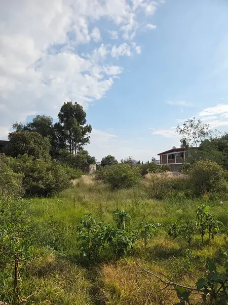 Foto 18