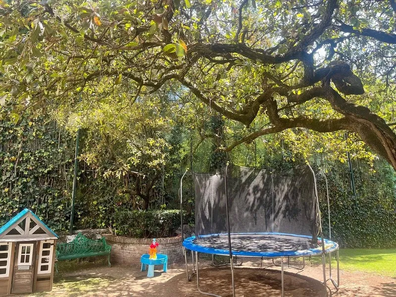 Foto 12