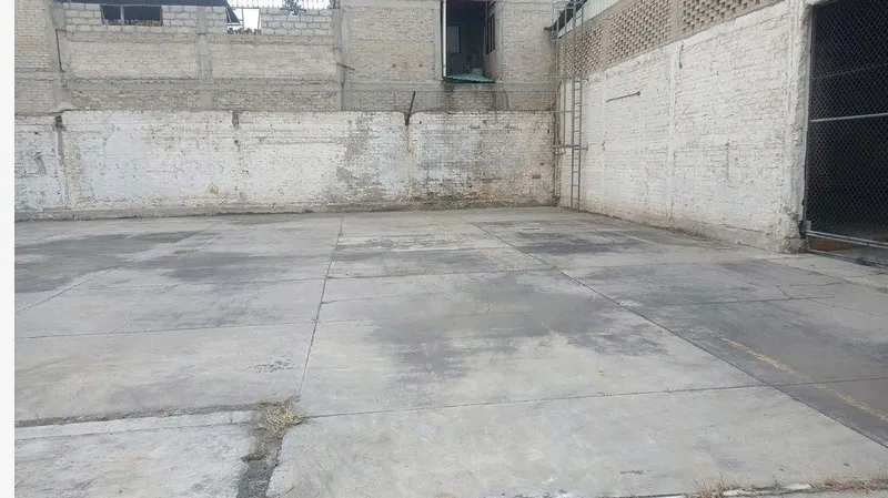 Foto 7