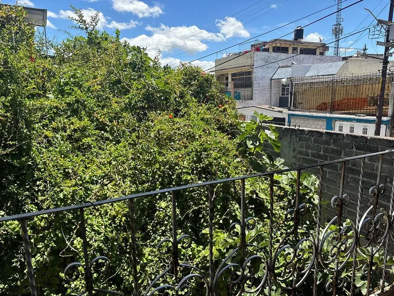 Foto 13
