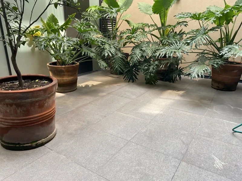 Foto 11