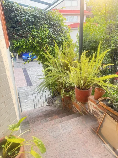 Foto 28