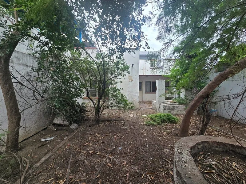 Foto 12