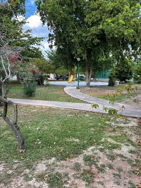 Foto 7