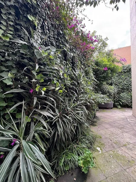 Foto 18