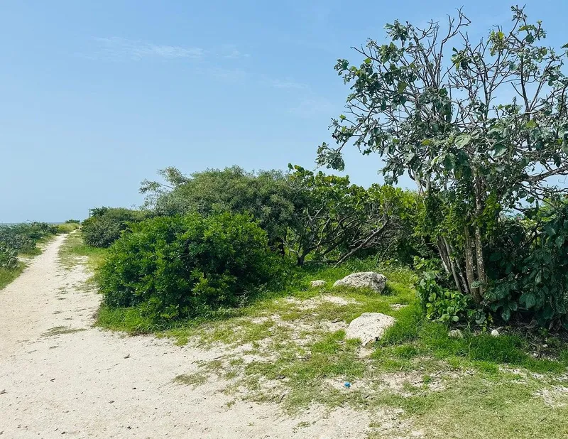 Lote en venta · Chuburna Puerto, Progreso, Yucatán