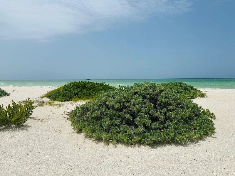 Lote en venta · Chuburna Puerto, Progreso, Yucatán