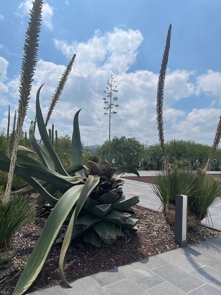 Foto 21