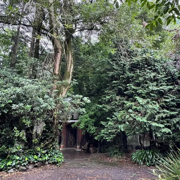 Casa en renta · Ampliación El Yaqui, El Yaqui, Cuajimalpa de Morelos, Ciudad de México