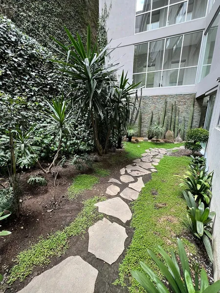 Foto 6