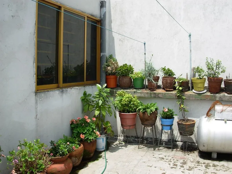 Foto 22