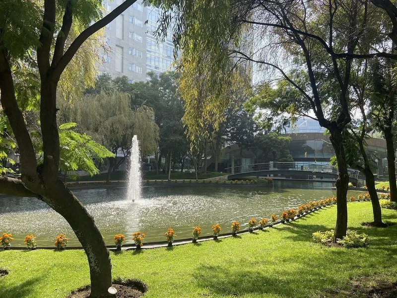 Foto 20