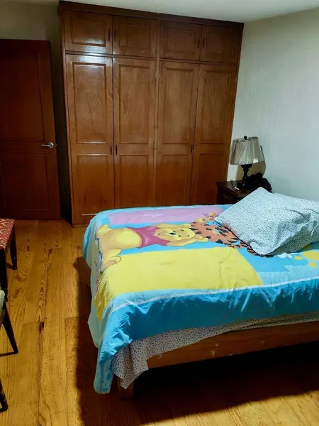 Foto 19